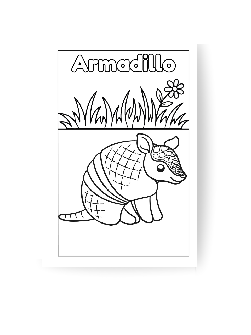 Animals, Insects and Ocean Friends Coloring Book