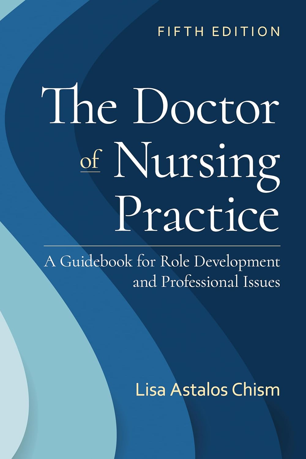 The Doctor of Nursing Practice: A Guidebook for Role Development and Professional Issue